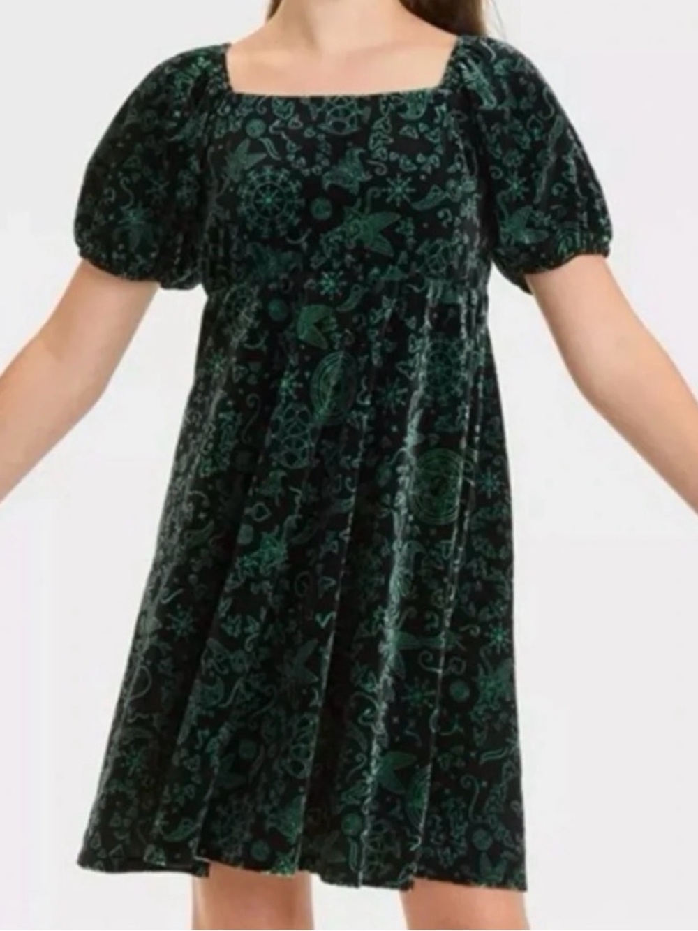 Wicked velvet dress by Paul Tazewell